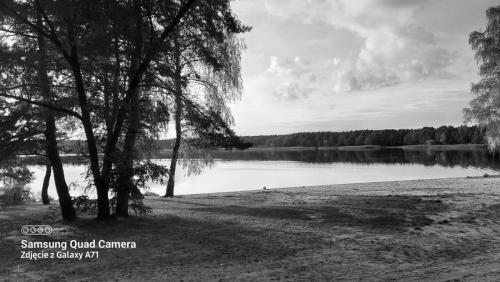 312450382 845288329939858 7591478618823826615 n